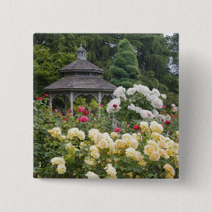 Chapa Cuadrada Rosas en flor y jardín de rosas Gazebo en el