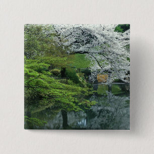 Chapa Cuadrada Sakura, Jardín Koishikawa Koraku-en, Tokio,