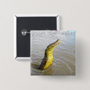 Chapa Cuadrada Scary Snappers: El Salto del Cocodrilo,