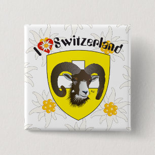 Chapa Cuadrada Schaffhausen - Schweiz - Botones Suisse - Svizzera