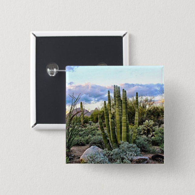 Chapa Cuadrada Scottsdale Succulent Sunset (Anverso y reverso)