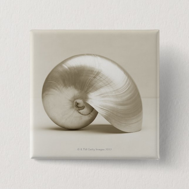 Chapa Cuadrada Seashell del nautilus de la perla (Anverso)