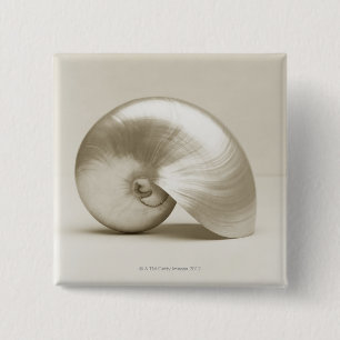 Chapa Cuadrada Seashell del nautilus de la perla