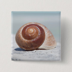 Chapa Cuadrada Seashell el St Petersburg, la Florida