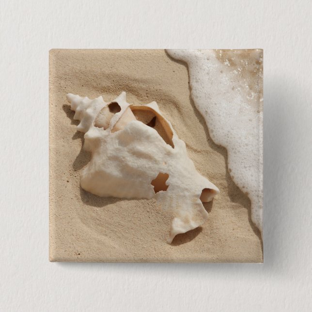 Chapa Cuadrada Seashell en la isla caribeña magnífica del turco (Anverso)