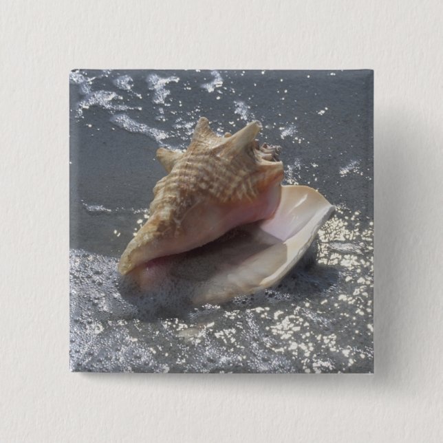 Chapa Cuadrada Seashell en la isla de la playa el | Sanibel, la (Anverso)