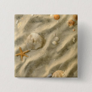 Chapa Cuadrada Seashells en arena
