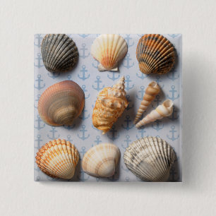 Chapa Cuadrada Seashells en el contexto del ancla