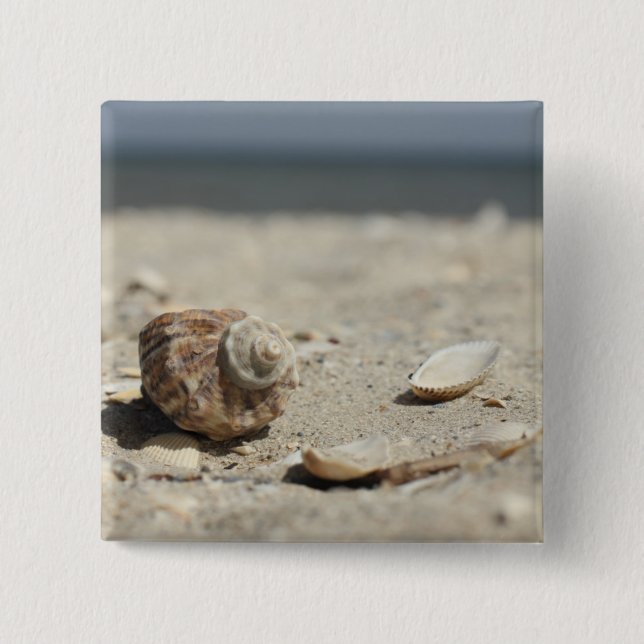 Chapa Cuadrada Seashells en la arena por el mar (Anverso)