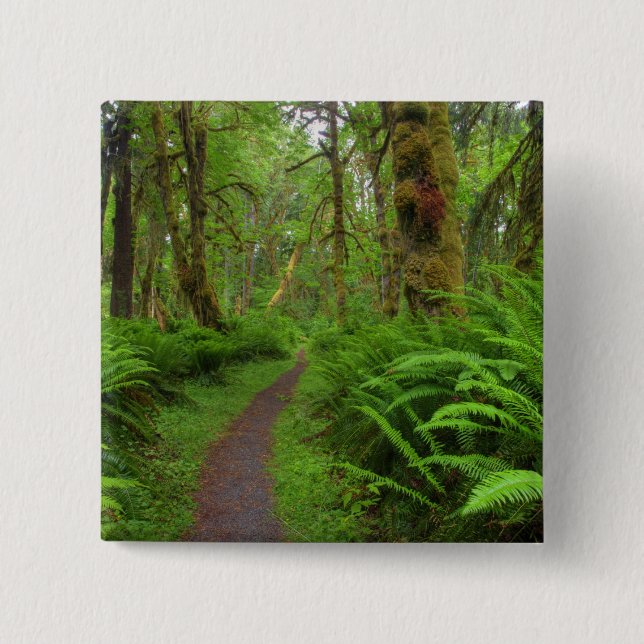 Chapa Cuadrada sendero Maple Glade, helechos y musgo cubierto (Anverso)