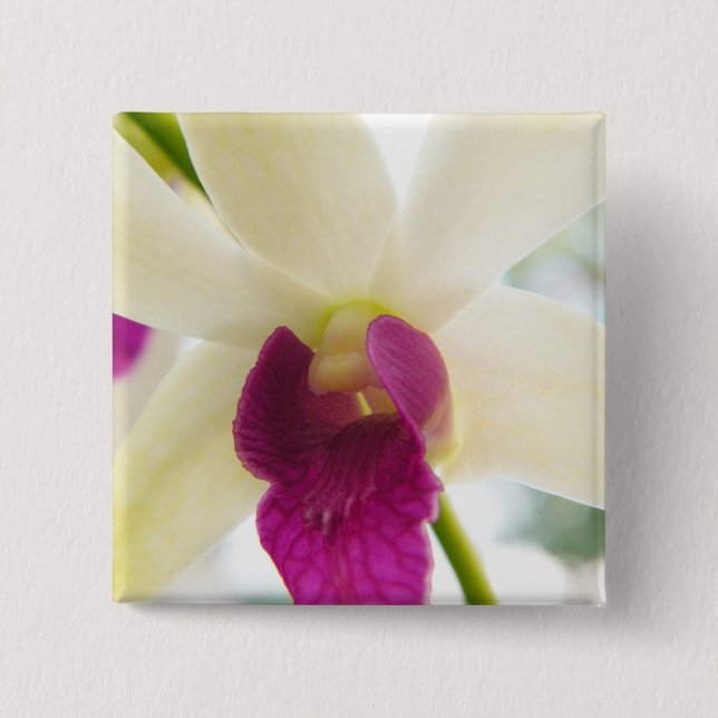 Chapa Cuadrada Señora Orchid (Anverso)