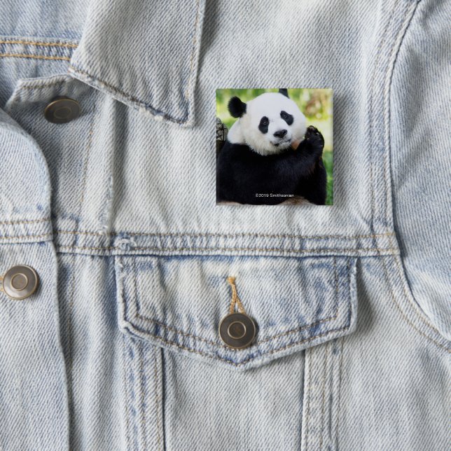 Chapa Cuadrada Sentada de la panda gigante (In situ)