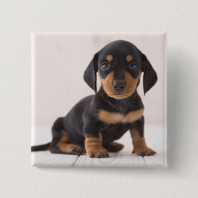 Chapa Cuadrada Sentada miniatura del Dachshund (Anverso)