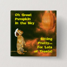 Chapa Cuadrada Sentado en Bonito para muchos tratamientos Hallowe