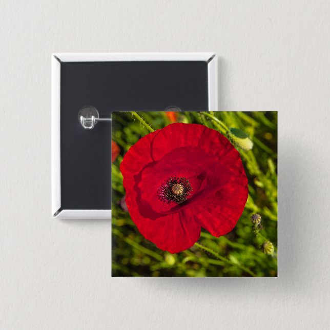 Chapa Cuadrada Serie de amapola #2 (Anverso y reverso)