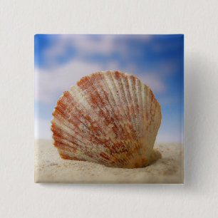 Chapa Cuadrada Shell apoyado en la arena