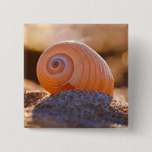 Chapa Cuadrada Shell Bokeh Greece