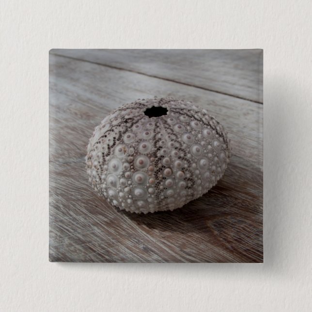 Chapa Cuadrada Shell encima de una tabla de madera (Anverso)