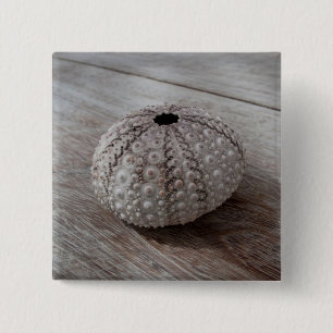 Chapa Cuadrada Shell encima de una tabla de madera