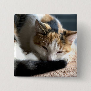 Chapa Cuadrada Sleeping Calico