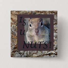 CHAPA CUADRADA ¡SON LAS NUECES DE U!