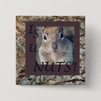 CHAPA CUADRADA ¡SON LAS NUECES DE U!
