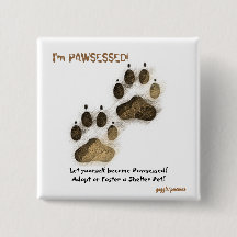 ¡Soy Pawssed!