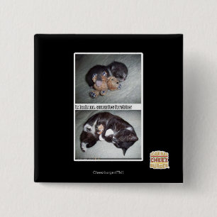 Chapa Cuadrada Sr. snuggies forebber del hadz del iz