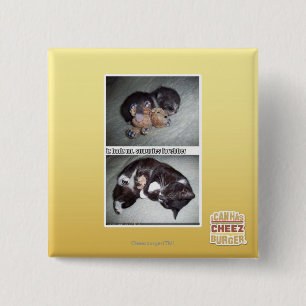 Chapa Cuadrada Sr. snuggies forebber del hadz del iz