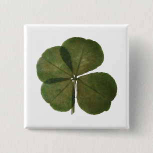 Chapa Cuadrada St Patrick Real 4 Leaf Clover Get Lucky Button