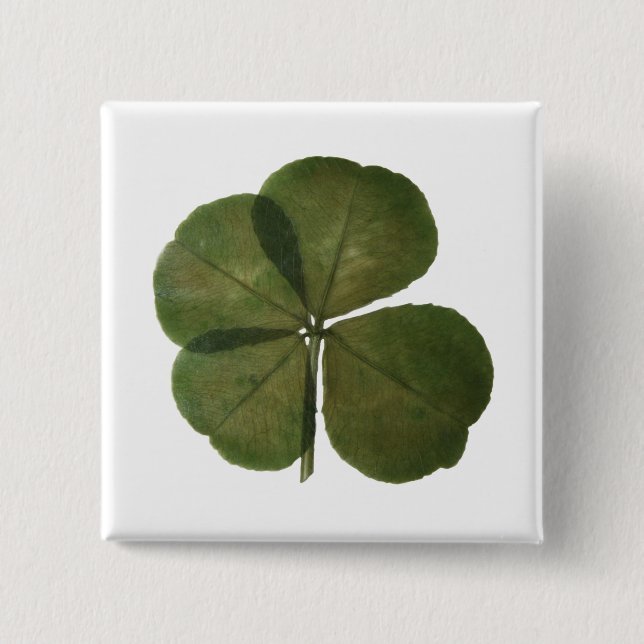 Chapa Cuadrada St Patrick Real 4 Leaf Clover Get Lucky Button (Anverso)