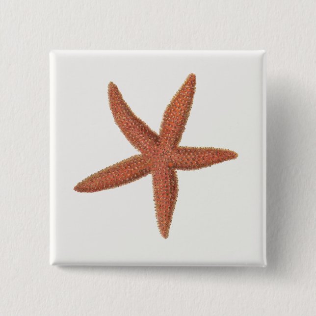 Chapa Cuadrada Starfish - Sherman Denton Fish Lithograph (Anverso)