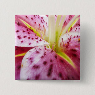 Chapa Cuadrada Stargazer Lily Bright Magenta Floral