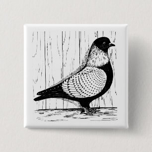 Chapa Cuadrada Starling Pigeon Silver-laced 1979