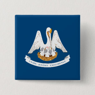 Chapa Cuadrada State Flag of Louisiana