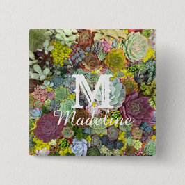 Chapa Cuadrada Suculentos paisajes coloridos