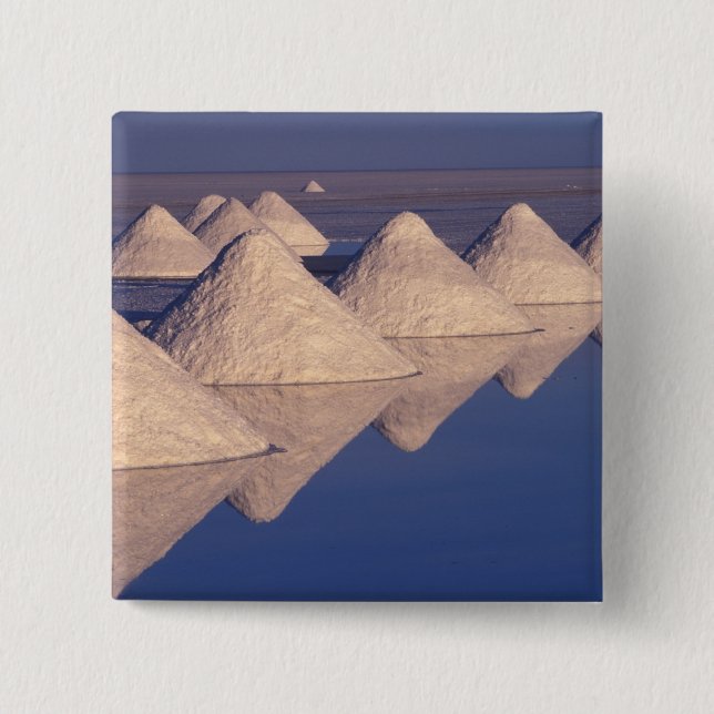 Chapa Cuadrada Sudamérica, Bolivia. Salar de Uyuni (Anverso)