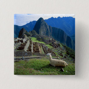 Chapa Cuadrada Sudamérica, Perú. Una llama descansa en una colina