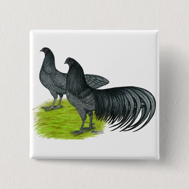 Chapa Cuadrada Sumatra: Par azul (Anverso)