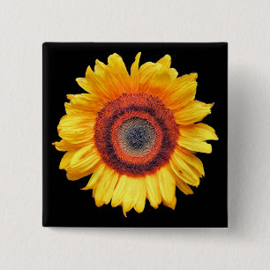 CHAPA CUADRADA SUNFLOWERS