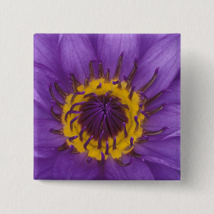 Chapa Cuadrada Tailandia, Bangkok, loto morado y amarillo