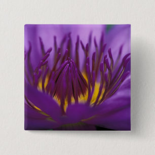 Chapa Cuadrada Tailandia, Bangkok, loto morado y amarillo 2