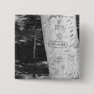 Chapa Cuadrada Talla en el tronco de árbol de abedul B&W