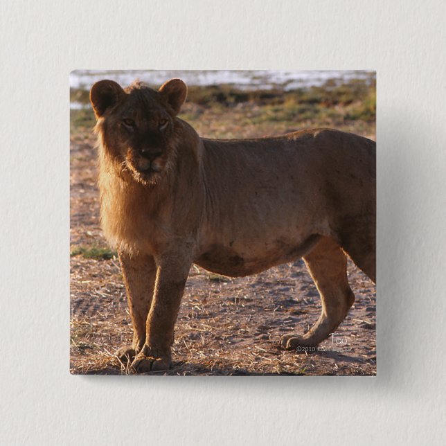 Chapa Cuadrada Tau, León, Foto (Anverso)