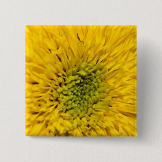 Chapa Cuadrada Teddy Bear Sunflower