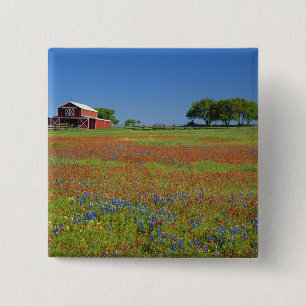 Chapa Cuadrada Texas, Texas Hill Country, pincel de Texas