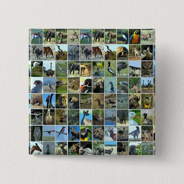 Chapa Cuadrada Tiere der Welt (Anverso)
