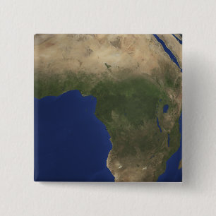 Chapa Cuadrada Tierra que muestra cubierta vegetal sobre África