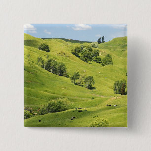 Chapa Cuadrada Tierras de cultivo cerca de Gisborne, Nueva Zeland