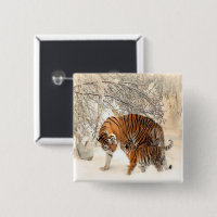 tigres en la nieve